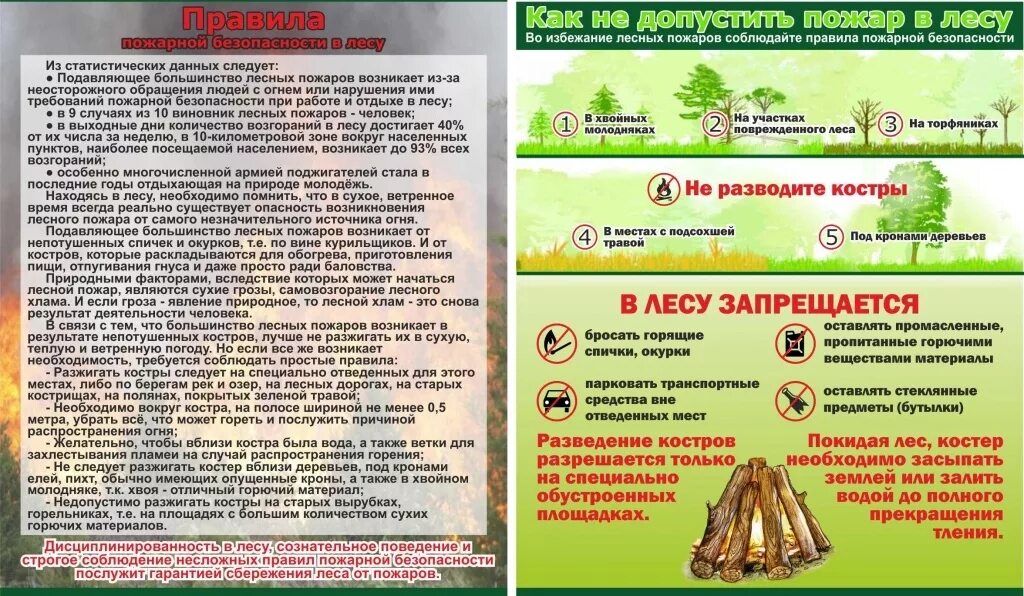 i Как не допустить пожар в лесу 2.jpg