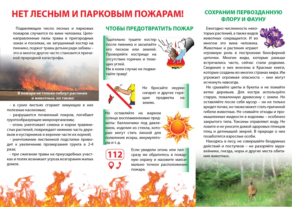 Нет лесным и парковым пожарам!.jpg