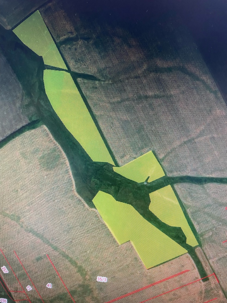 фото 254.jpeg