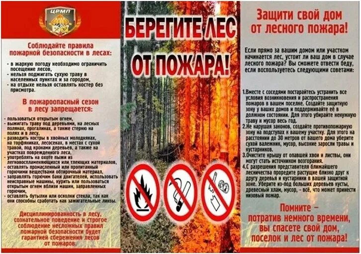 Защити свой дом от лесного пожара.jpg